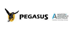 Pegasus