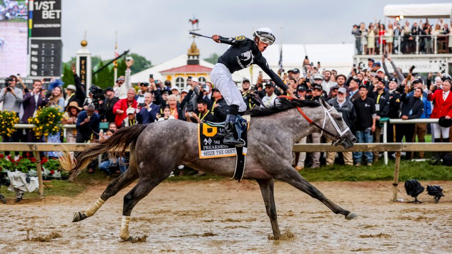 Crowdfunded colt Seize The Grey secures $13M stallion deal