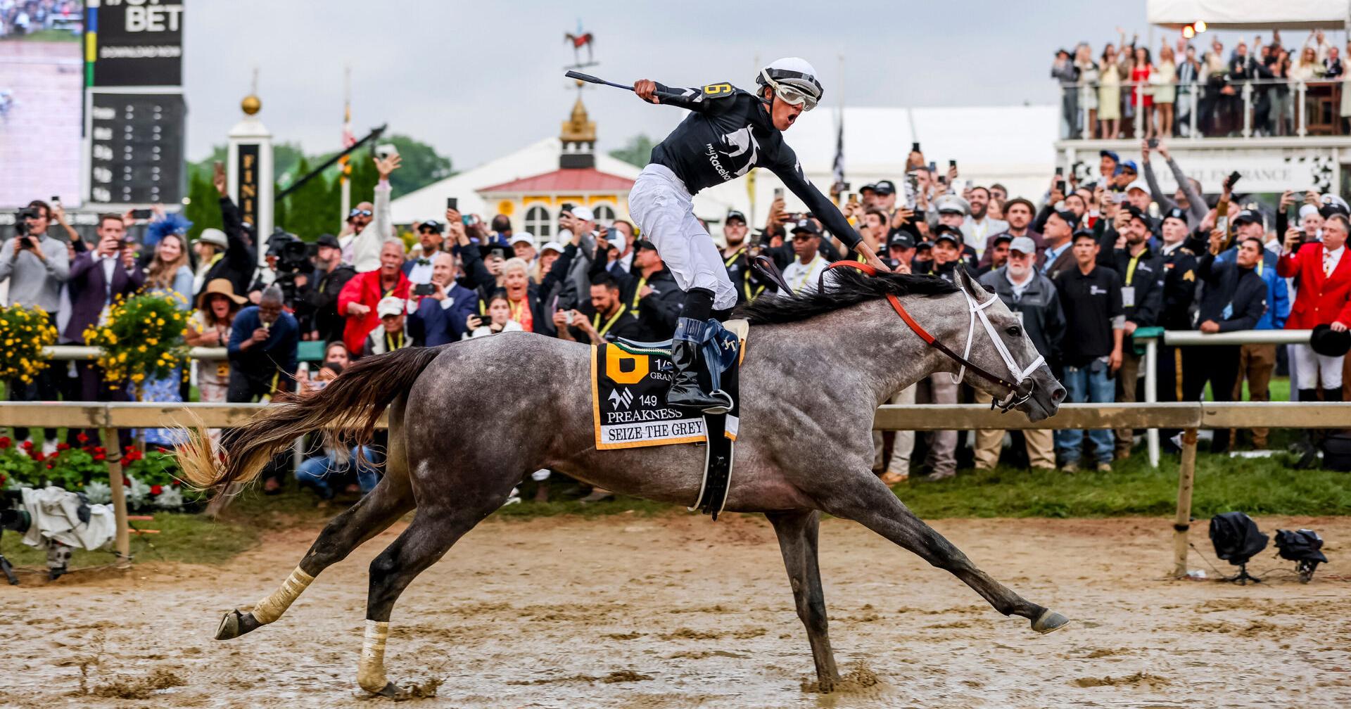 MyRacehorse Secures Stallion Deal Worth Up to $13.5M For Crowdfunded Colt Seize The Grey