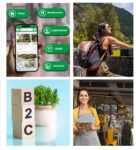 Vegius Launches $120K Crowdfunding Campaign for App That Could "Revolutionize Plant-Based Travel" - vegconomist - the vegan business magazine