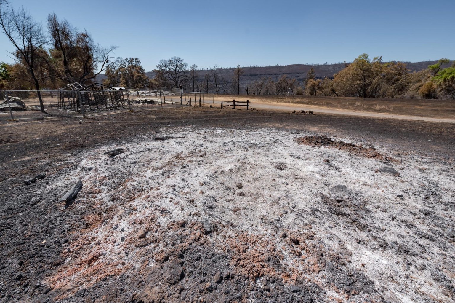 The Big Chico Creek Ecological Reserve contends with the aftermath of the Park Fire