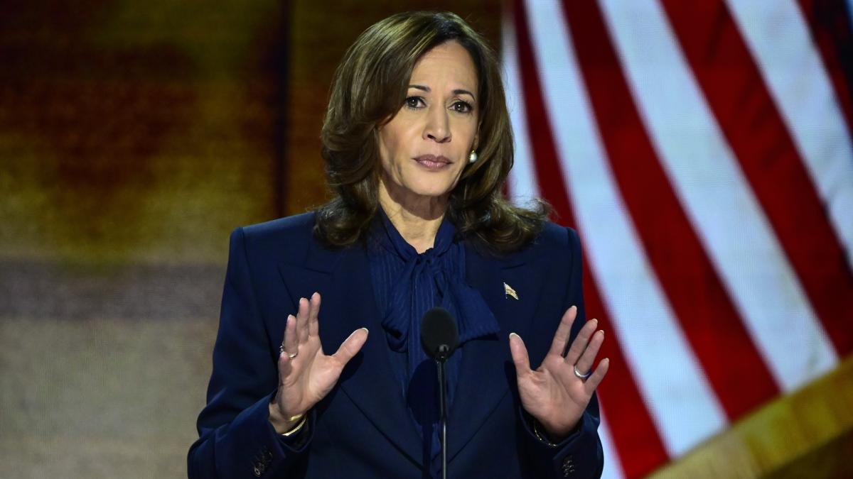 5 Forms of Stimulus That Americans Can Expect If Harris Wins the Election