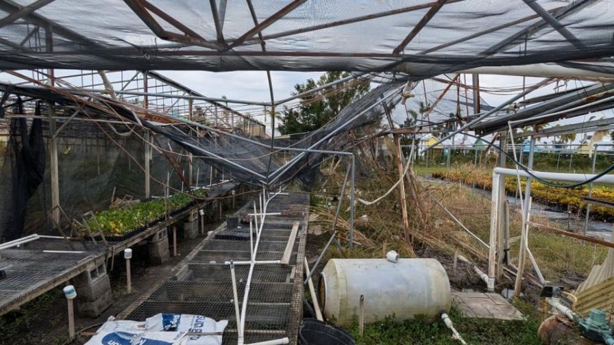 How Crowdfunding Can Help Growers in Need of Hurricane Relief