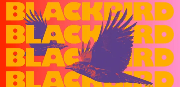 Crowdfunding platform Lift Women raises $1.3 million to bridge the gender funding gap